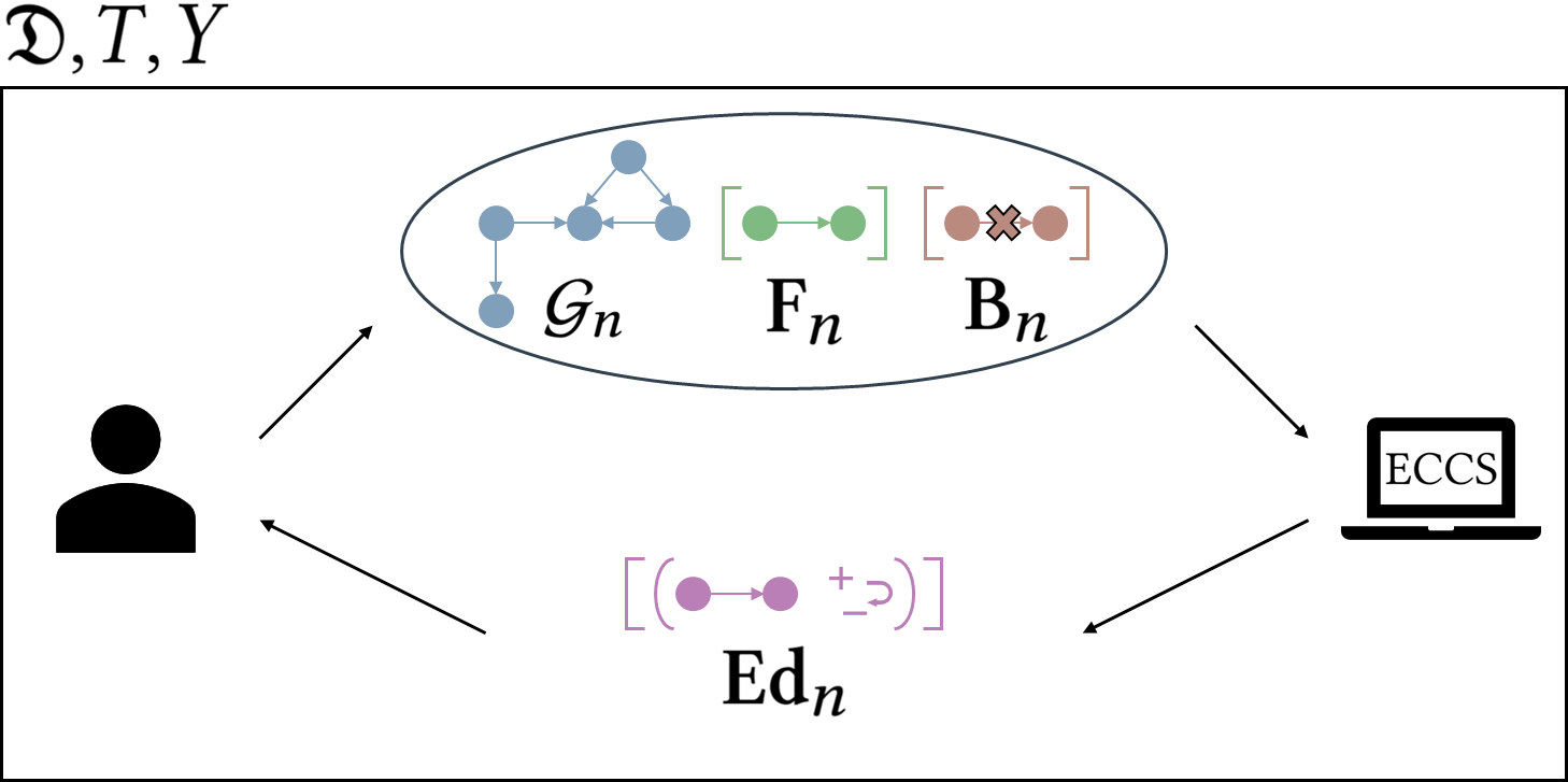 ECCS: Exposing Critical Causal Structures